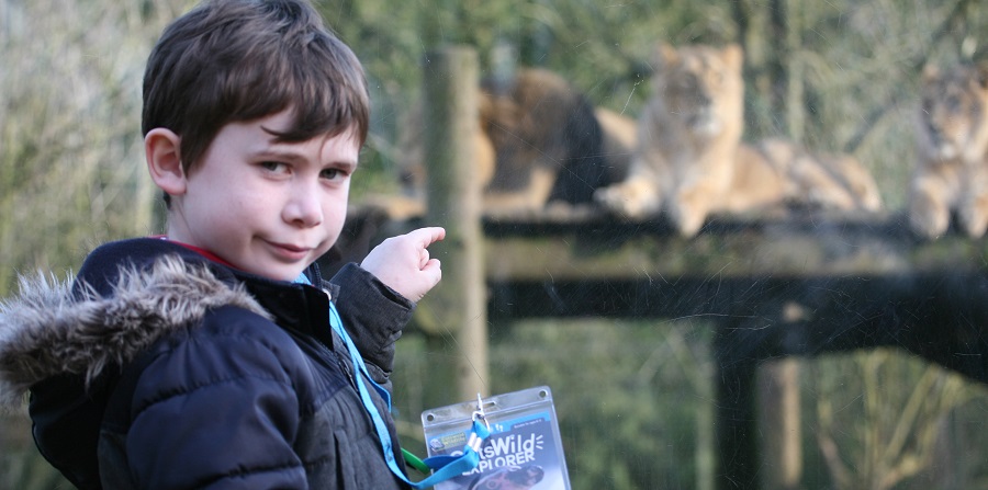 The new Cots Wild Explorer activity trail at Cotswold Wildlife Park
